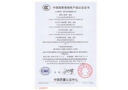 CCC電線RVV證書